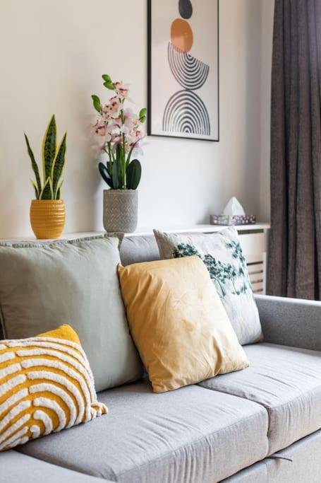 Best City Centre Luxurious Home Free Parking Μπέλφαστ Εξωτερικό φωτογραφία